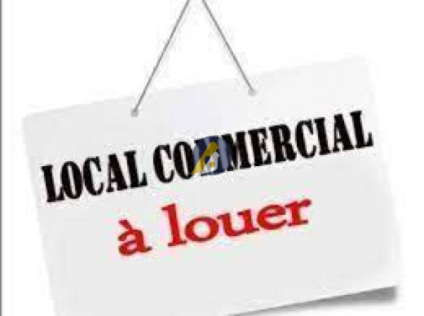 Vente Immobilier Professionnel Local professionnel Notre-Dame-de-Monts 85690